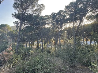 INDUSTRIAL CN II, POLIGONO 18, PARCELA 44 (AMPLIAC 2
