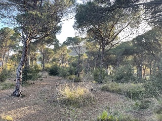 INDUSTRIAL CN II, POLIGONO 18, PARCELA 44 (AMPLIAC 3