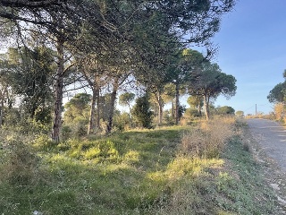 INDUSTRIAL CN II, POLIGONO 18, PARCELA 44 (AMPLIAC 4