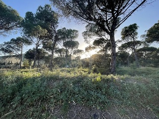 INDUSTRIAL CN II, POLIGONO 18, PARCELA 44 (AMPLIAC 5