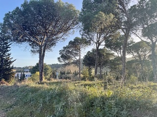 INDUSTRIAL CN II, POLIGONO 18, PARCELA 44 (AMPLIAC 6