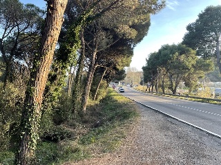 INDUSTRIAL CN II, POLIGONO 18, PARCELA 44 (AMPLIAC 7