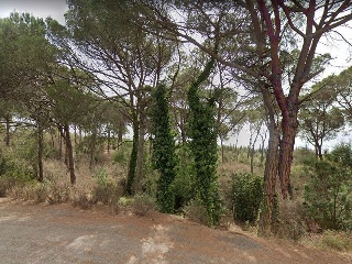 INDUSTRIAL CN II, POLIGONO 18, PARCELA 44 (AMPLIAC 11