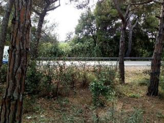 INDUSTRIAL CN II, POLIGONO 18, PARCELA 44 (AMPLIAC 14