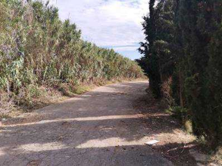 INDUSTRIAL CN II, POLIGONO 18, PARCELA 44 (AMPLIAC 15