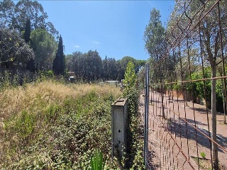 Pisos banco Palafrugell