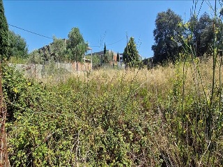 CAN SALGUES II, PARATGE 8