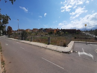 BORRIANA 3