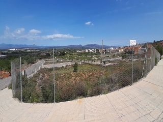BORRIANA 6