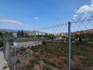 BORRIANA 7