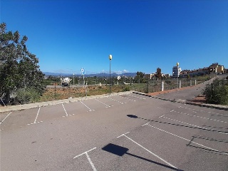 BORRIANA 5