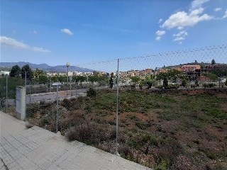 BORRIANA 3