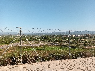 XILXES 6