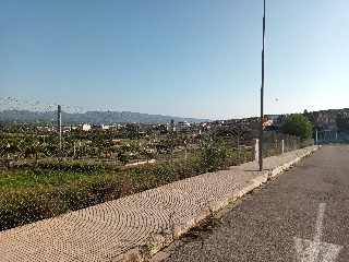 XILXES 7