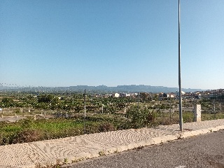 XILXES 8