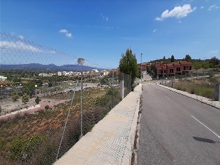 BORRIANA 4