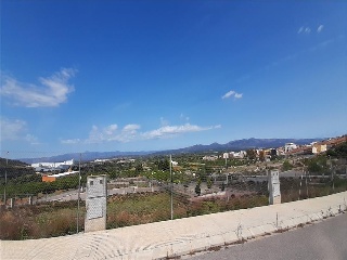 BORRIANA 5