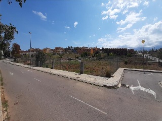 BORRIANA 7