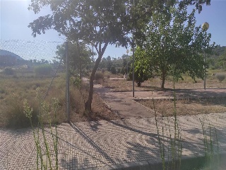 BORRIANA 8