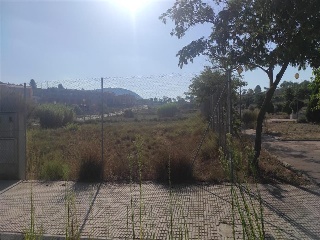 BORRIANA 9