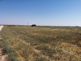 AR 1, PARCELA 2