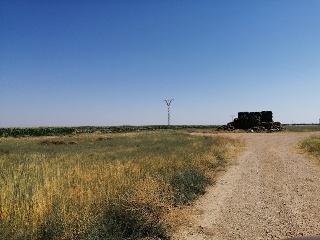 AR 1, PARCELA 5