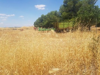 AR 1, PARCELA 8