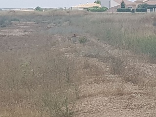 AR 1, PARCELA 13