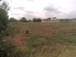 Pisos banco Pobla de Vallbona (la)
