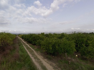 7 PARCELA 135 8