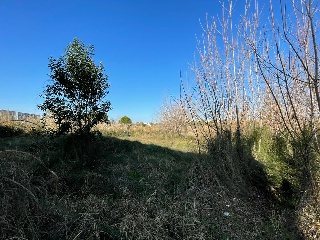 SC SECTOR 30 LES MADRIGUERES 5
