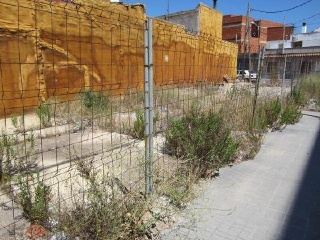 MORELLA 4