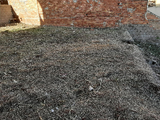 MARQUES DE LLANÇOL 6