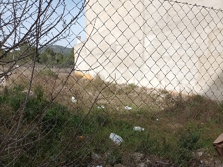 ALEGRIA 8