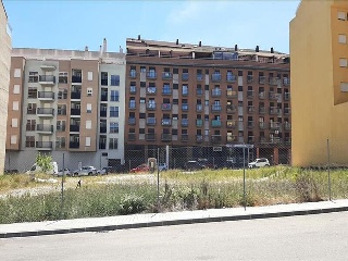 ALEGRIA 12