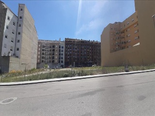 ALEGRIA 13