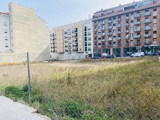 ALEGRIA 18