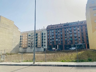 ALEGRIA 19