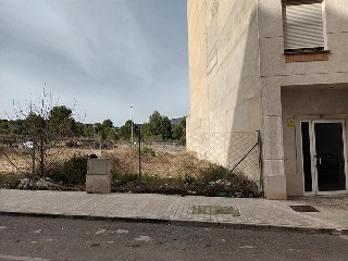 ALEGRIA 20