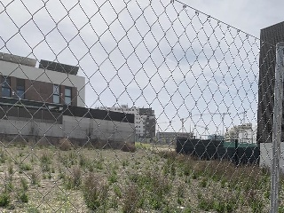 LA NORIA 5