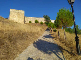 OLMOS 5