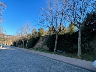 PLA DE PALOU 3