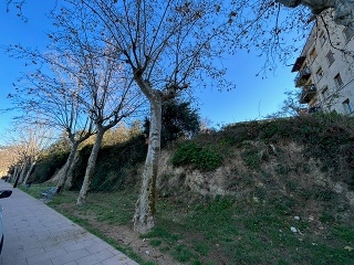 PLA DE PALOU 5