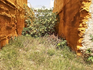 SANTO TOMAS 2