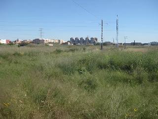 Pisos banco Sedaví