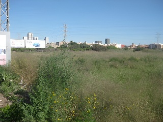 NUMERO 1 9 Polígono 1 Parcela 9. HERMANDAD 4