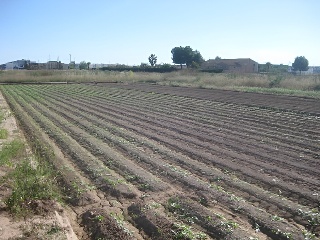 NUMERO 1 9 Polígono 1 Parcela 9. HERMANDAD 6