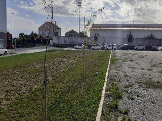 CASTRO (PARCELA R3 DE LA UA-2) 13
