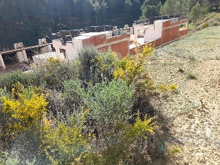 SERRA D´ESPADA 5