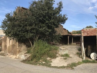 CANARI 5
